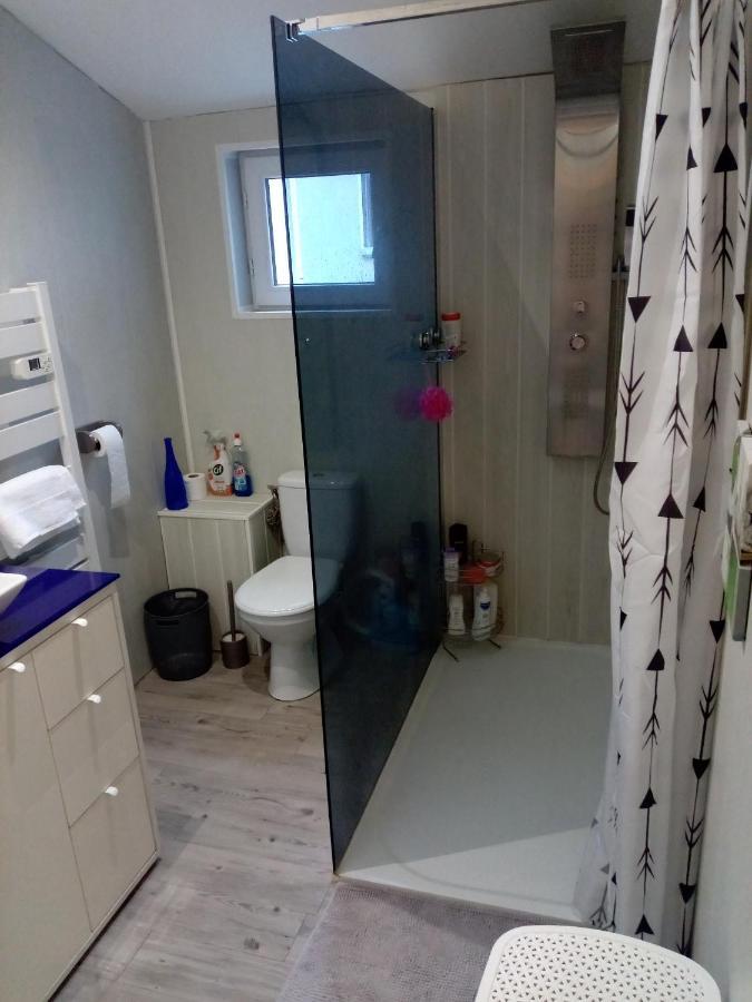 Au P'Tit Bonheur Apartment Saint-Rambert-d'Albon Ngoại thất bức ảnh